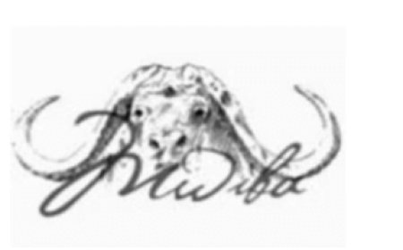 Camp Manager Job Vacancy at Mwiba Holdings Limited