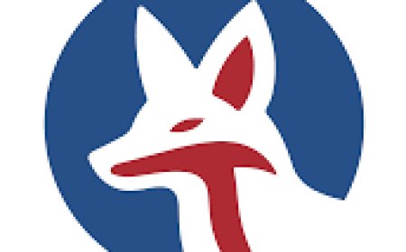 Software Developer (Back-End Focus) Job Vacancy at Brandthryve