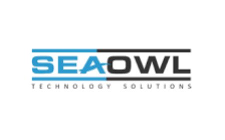 Senior Accountant Job Vacancy at SeaOwl