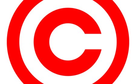 Junior Accountant is Urgently Needed