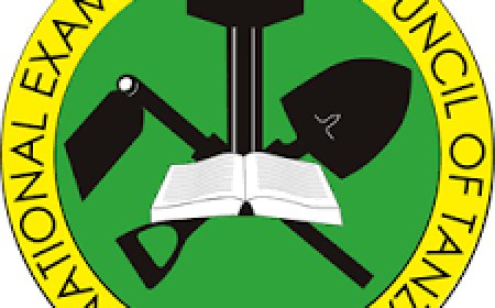 NECTA Standard Four Results 2025/2026, Matokeo Darasa la Nne