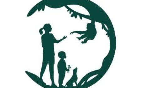 Jane Goodall Institute Job Vacancy – Field Assistant | Jan 2026