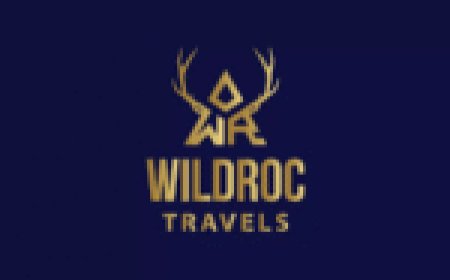 Travel Coordinator Job Opportunity at Wildroc Travels