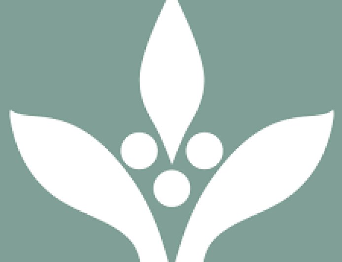 Monitoring and Evaluation Coordinator at Hanns R. Neumann Stiftung