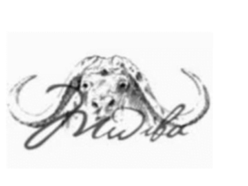 Camp Manager Job Vacancy at Mwiba Holdings Limited