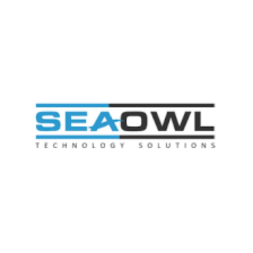 Senior Accountant Job Vacancy at SeaOwl