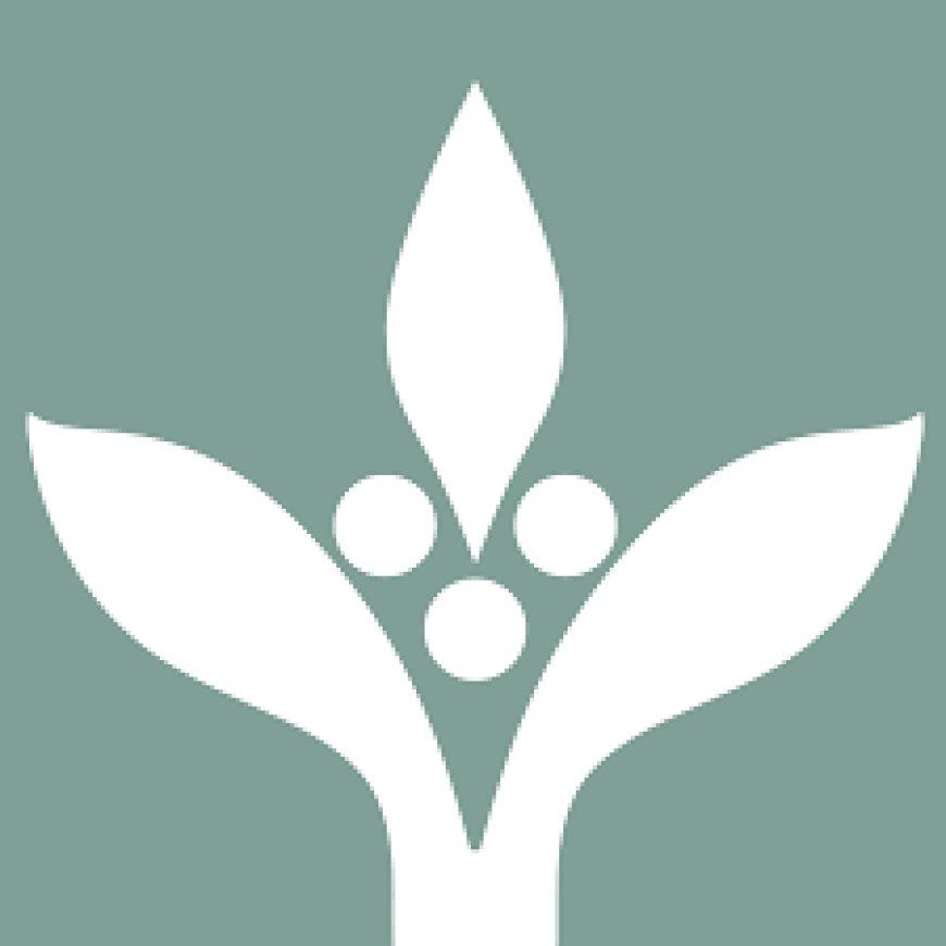 Monitoring and Evaluation Coordinator at Hanns R. Neumann Stiftung