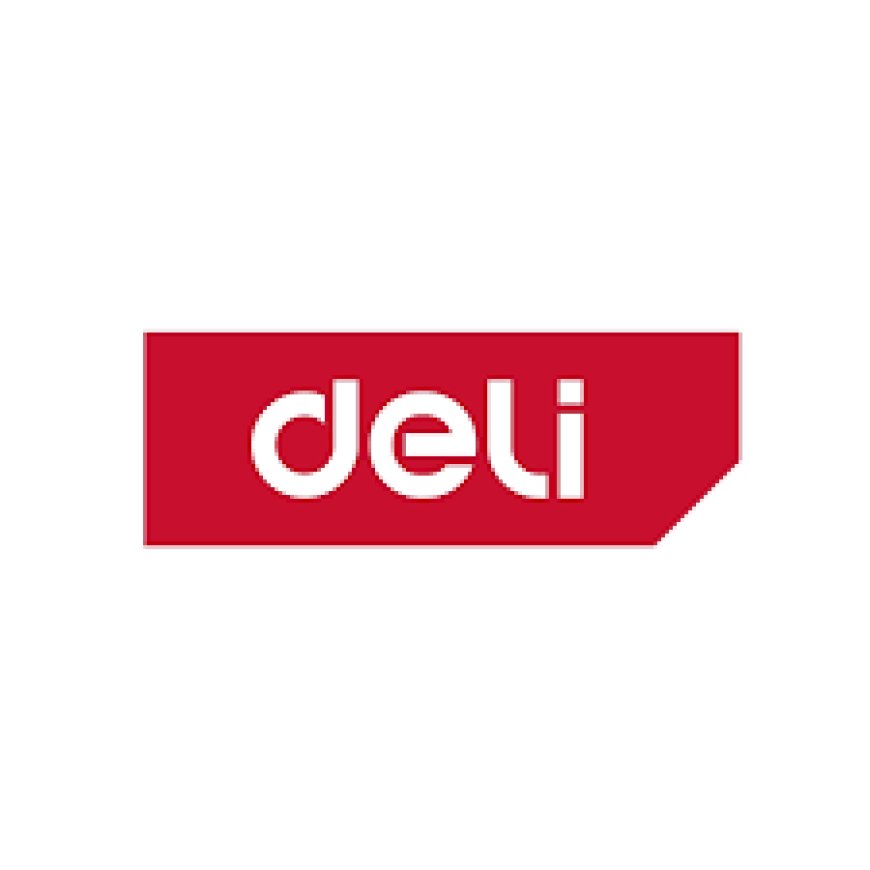 Sales Representatives at DELI Tools Company