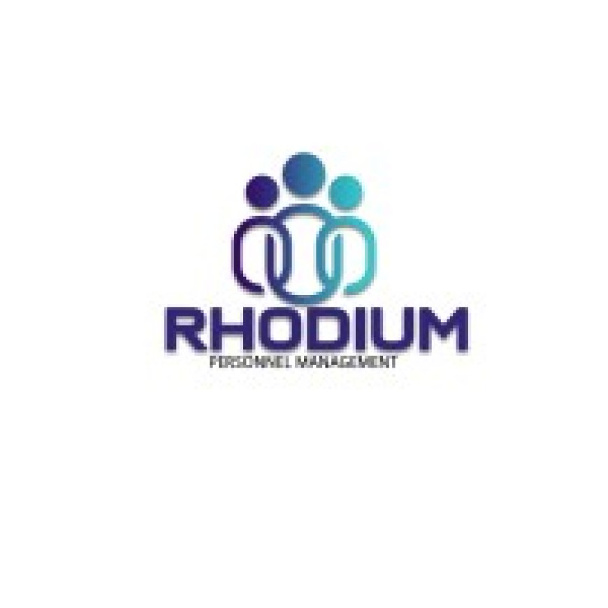 Accounting and Debt Collection Officer Job Opportunity at Rhodium