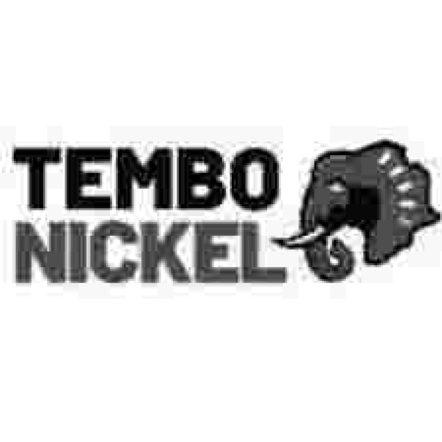 HR Officer Job Opportunity at Tembo Nickel