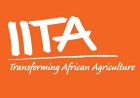 Field Facilitator Job Vacancies at IITA