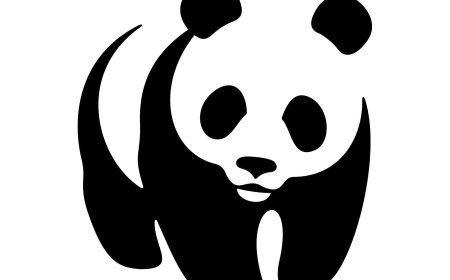 Administration & Logistics Officer Job Opportunity at WWF | February 2026