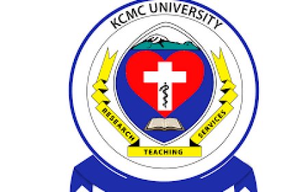 4 Assistant Lecturer Job Vacancies at KCMC University