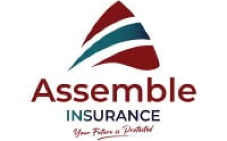 Sales Executives – 7 Positions at ASSEMBLE Insurance