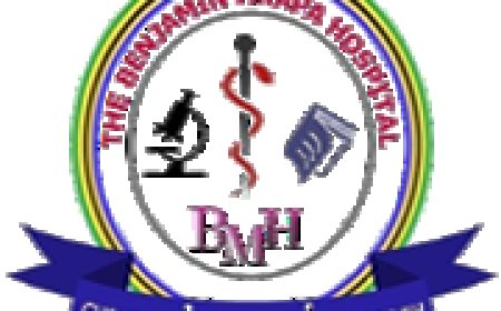 Benjamin Mkapa Hospital Job Vacancies, 10 Positions | February 2026