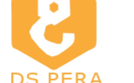Tender /Bid Officer Job Vacancy at DS Pera Tanzania