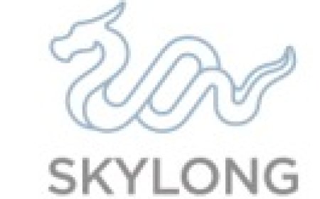 Site Engineering Manager Job Vacancy at Skylong Real Estate