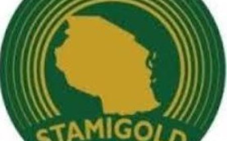 Senior Procurement Office at STAMIGOLD