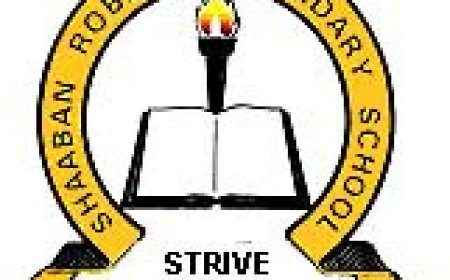 Secretary Job Vacancy at Shaaban Robert Secondary School