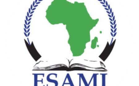 Paid Internship: Office Administration (Accounting Background) Graduate Intern at ESAMI Tanzania
