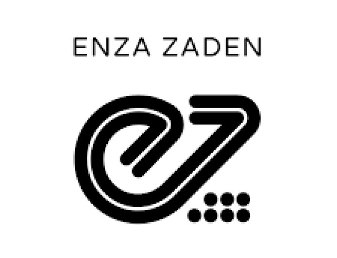Seed Production Lead Job Vacancy at Enza Zaden Tanzania
