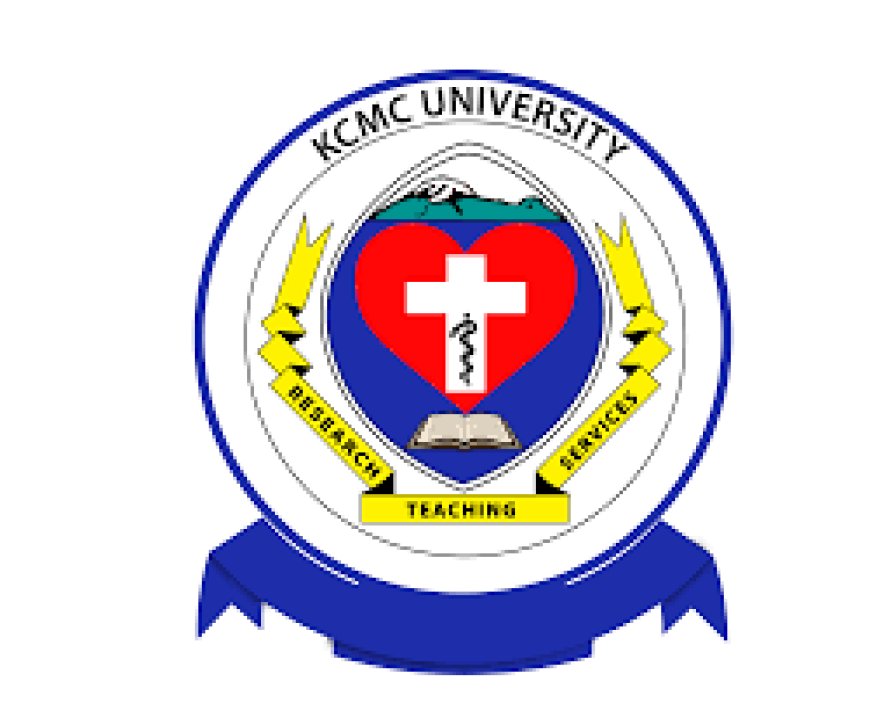 4 Assistant Lecturer Job Vacancies at KCMC University