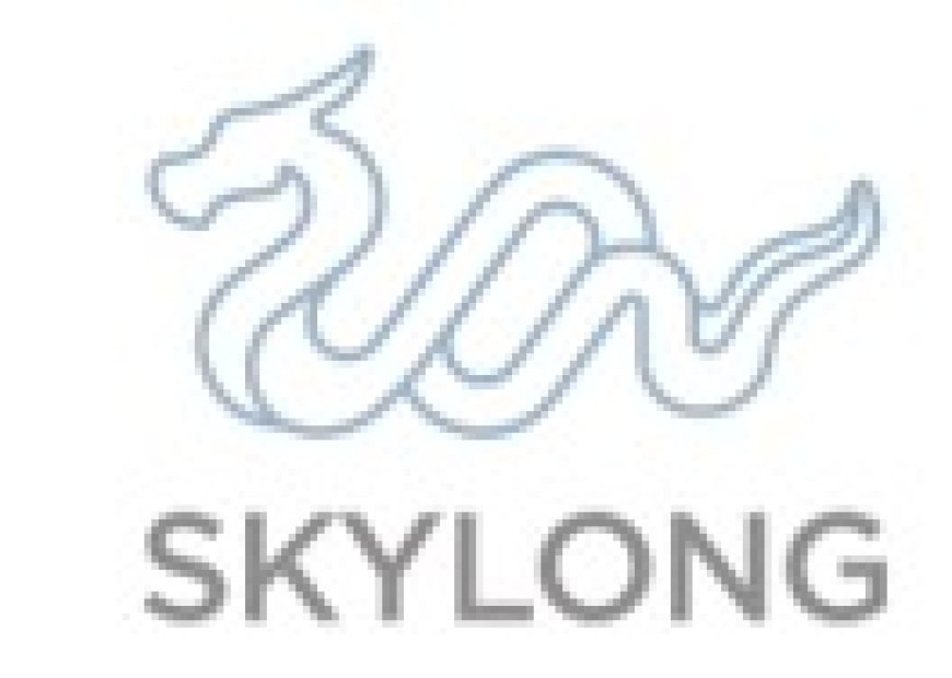 Business Development Manager Job Vacancy at Skylong Real Estate