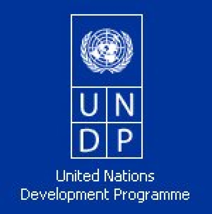 UNDP Job Vacancies, 3 Positions | February 2026
