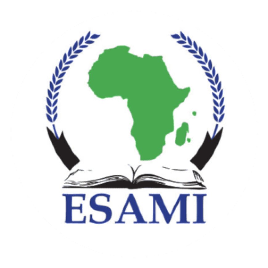 Paid Internship: Office Administration (Accounting Background) Graduate Intern at ESAMI Tanzania