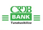 CRDB Bank Job Vacancies, 9 Positions | March 2026