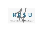 Senior Control Room Controller at Hesu Investment