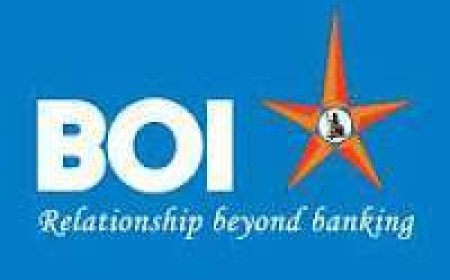 Manager /Officer Credit Job Vacancy at Bank of India