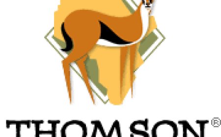 Accounts Team Leader Job Vacancy at Thomson Safaris