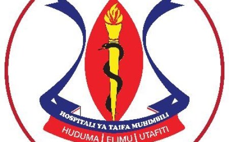 Muhimbili National Hospital (MNH) Job Vacancies, 24 Positions – March 2026