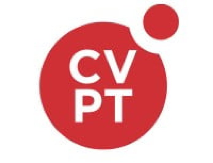 Full Stack Developer at CVPeople Tanzania