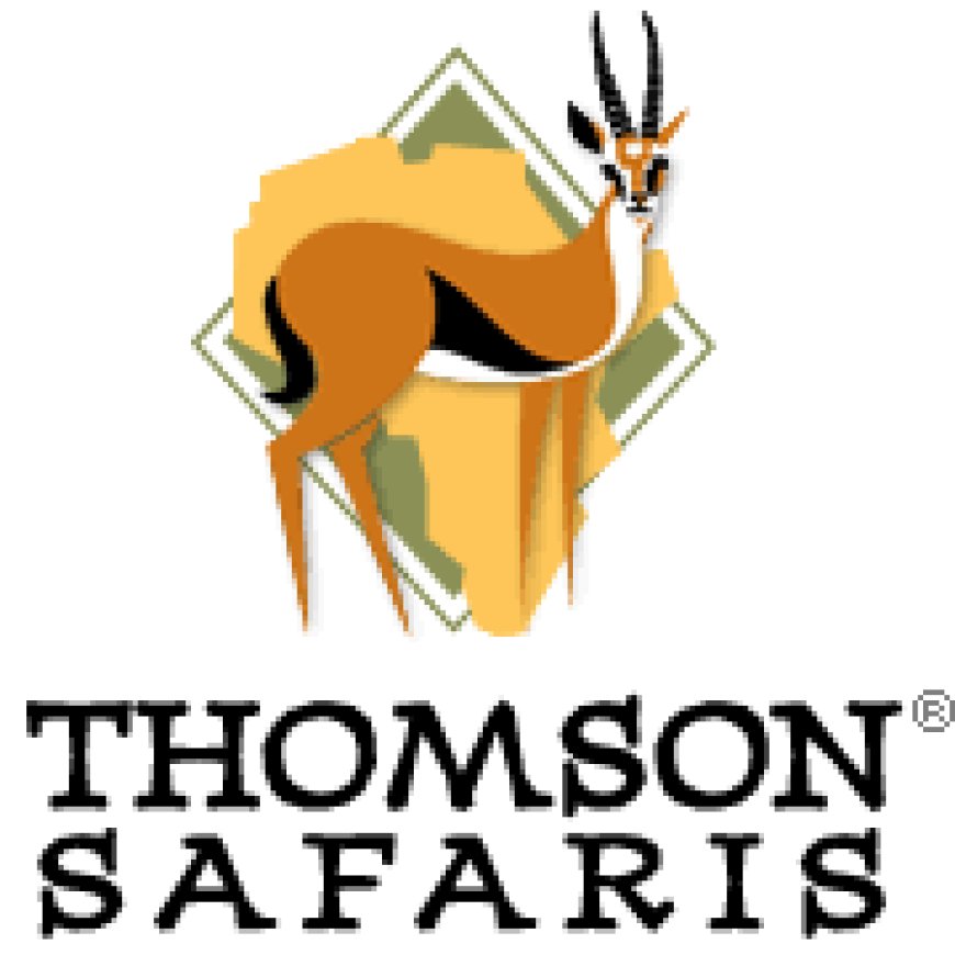 Accounts Team Leader Job Vacancy at Thomson Safaris