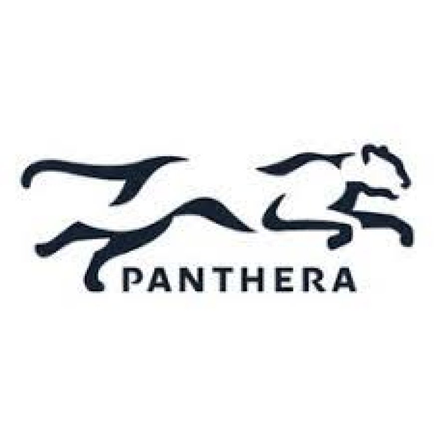 Administrative and Operations Officer Job Opportunity at Panthera Corporation