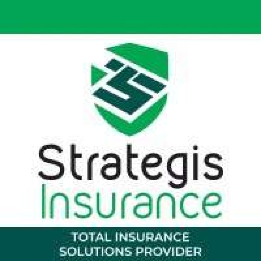 Head of Operations Job Opportunity at Strategis Insurance