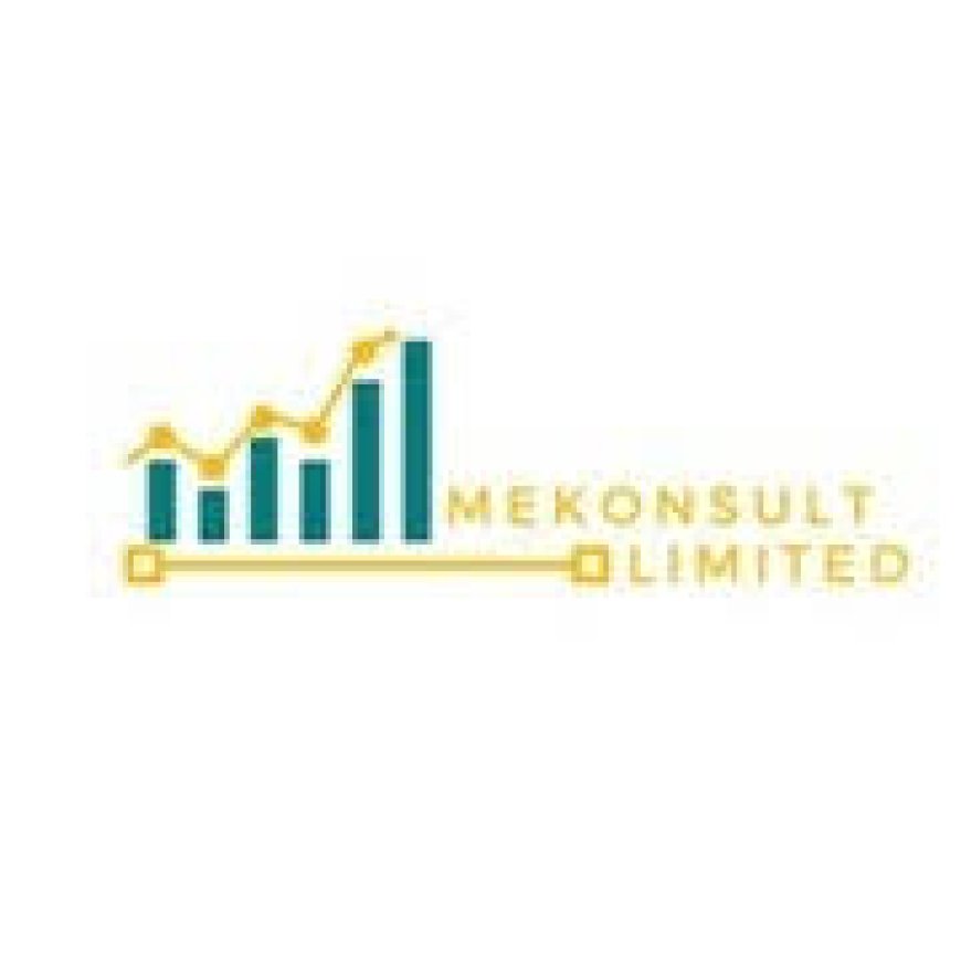 Chief Accountant Job Vacancy at MEKONSULT
