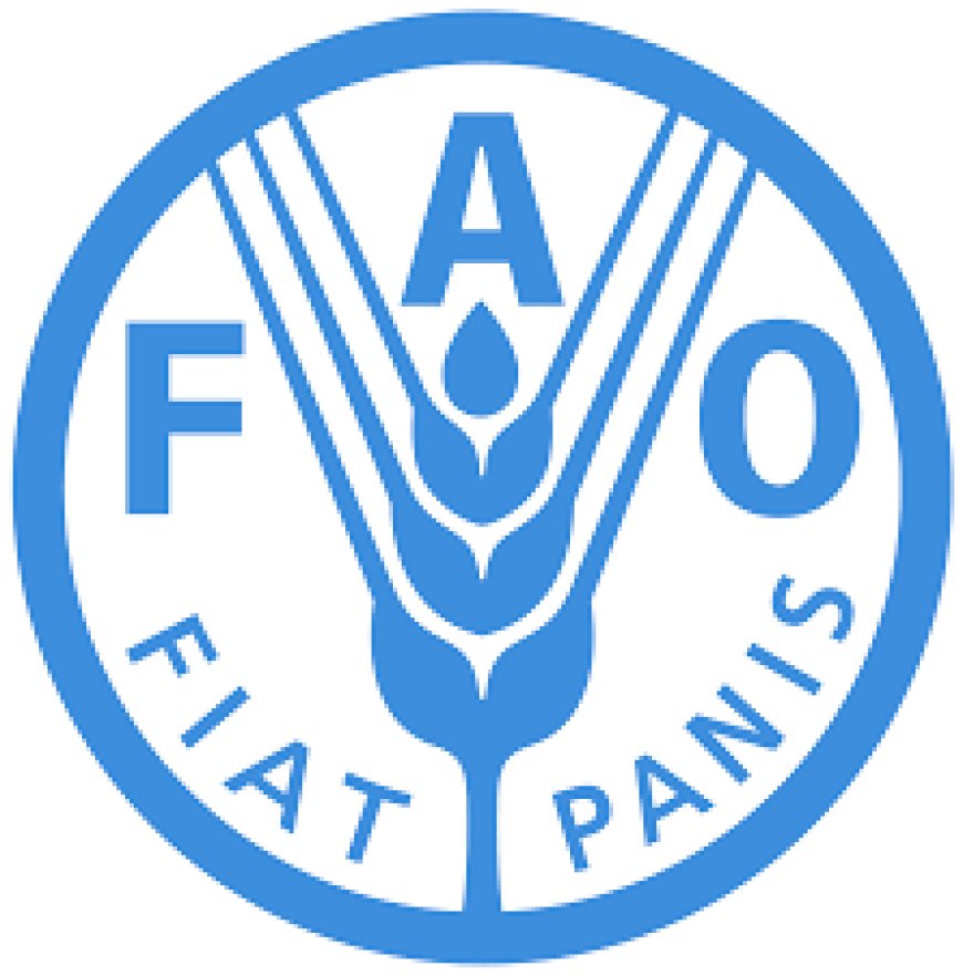 Human Resources Assistant Job Vacancy at FAO
