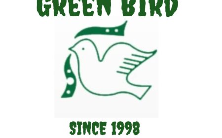 Job Opportunities at Green Bird Education Institution