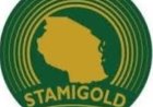 Data Clerk at STAMIGOLD (July 2026)