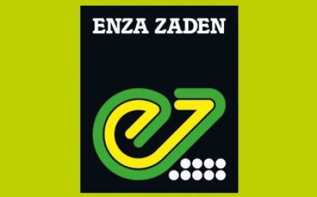 Interim Facilities Maintenance Manager Job Opportunity at Enza Zaden