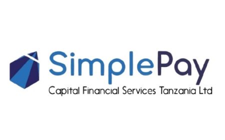 Loan Officer and Collection Officer at Simplepay Capital Financial Services Tanzania Ltd, July 2026