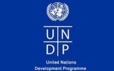 Digital Payments Specialist at UNDP July 2026