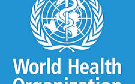 National Consultant to Support Finalization of The Health Sector National Adaptation Plan (H-Nap) at WHO July 2026