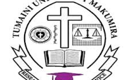 Project Assistant job at Tumaini University Makumira July 2026