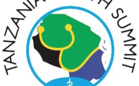 Accounts and Finance Officer job at Tanzania Health Summit (THS) July 2026
