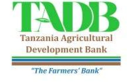Senior Business Development Officer II (Portfolio Monitoring) at TADB July 2026