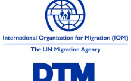Procurement & Logistics Assistant